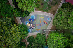 Blk 21 Queen's Close (Queenstown), HDB 4 Rooms #144445412